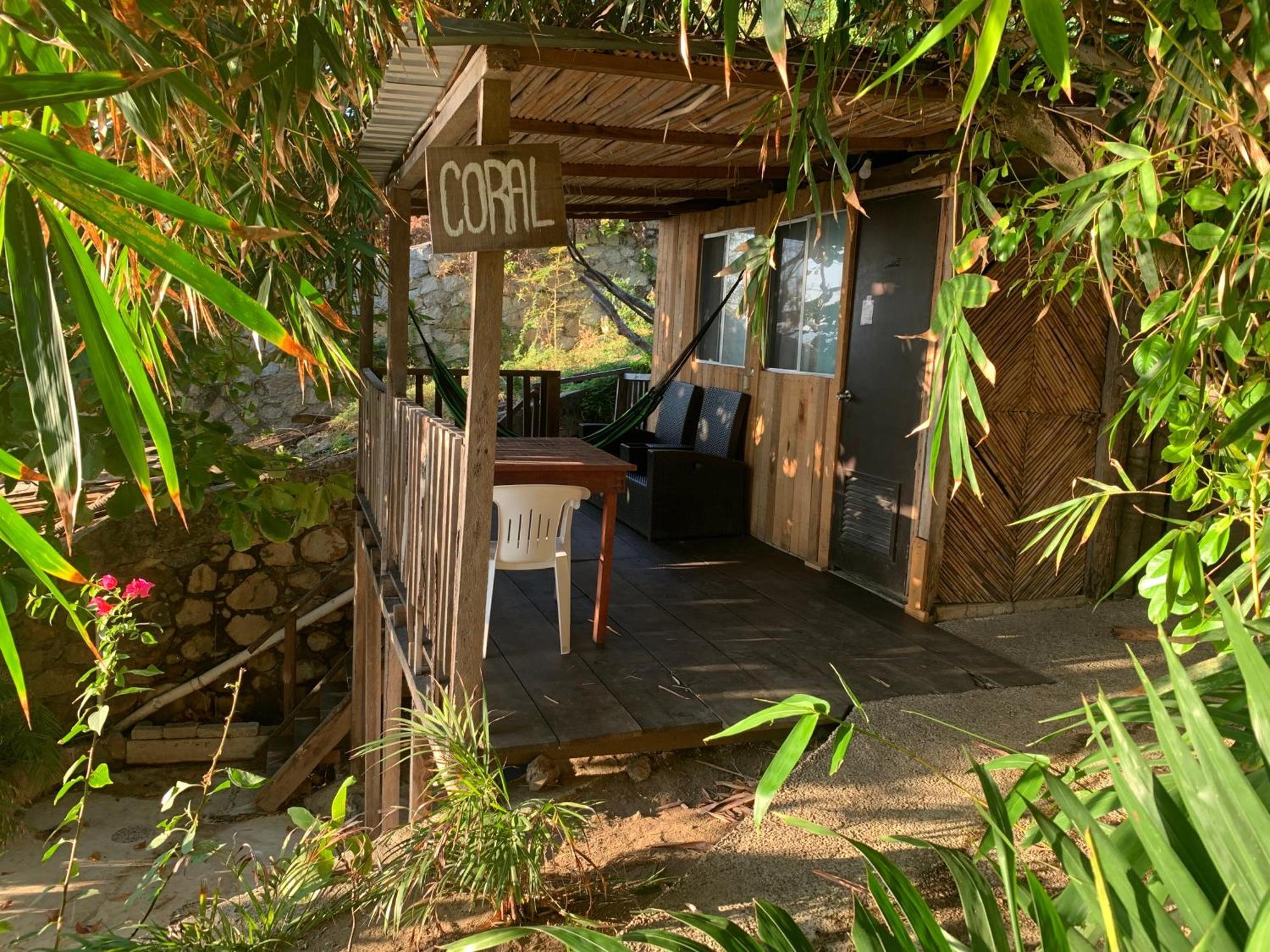 אקפולקו Donde Mira El Sol, Promo Primavera Hasta 50 Por Ciento (Adults Only) מראה חיצוני תמונה